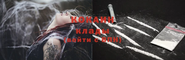мяу мяу мука Алзамай