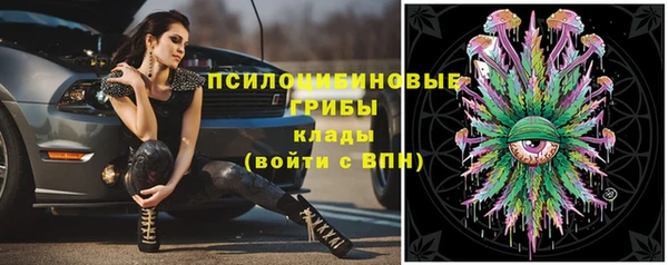 крисы Алапаевск